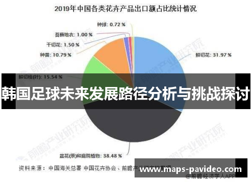 韩国足球未来发展路径分析与挑战探讨 韩国足球未来发展路径分析与挑战探讨